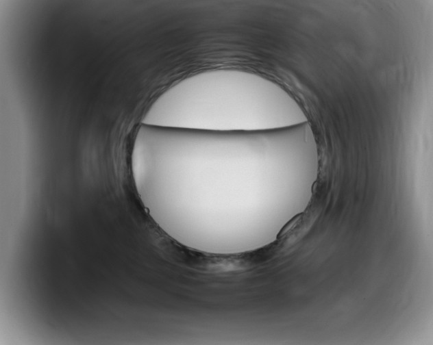 X0000100230377200805300729