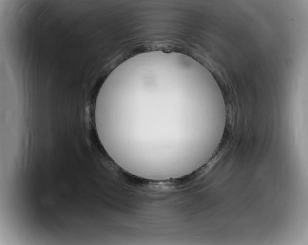 X0000100230378200805300729