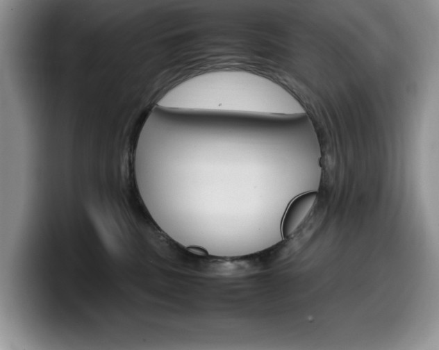 X0000100230379200805300729