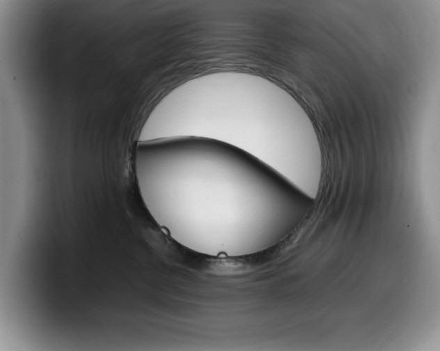 X0000100230380200805300729