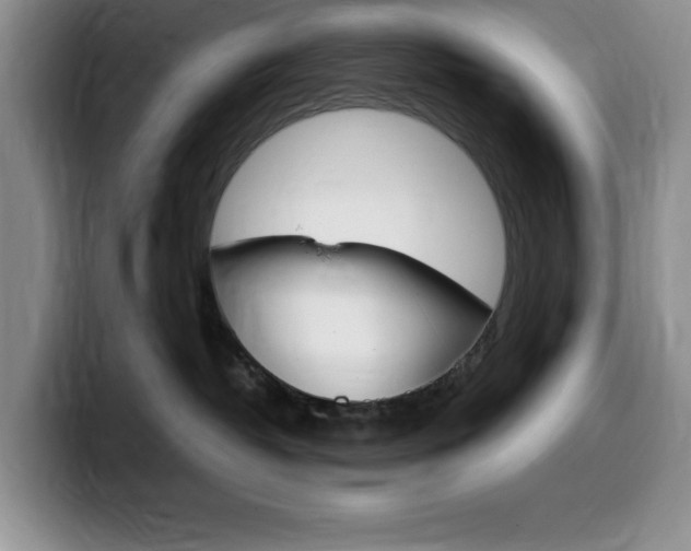 X0000100230382200805300729