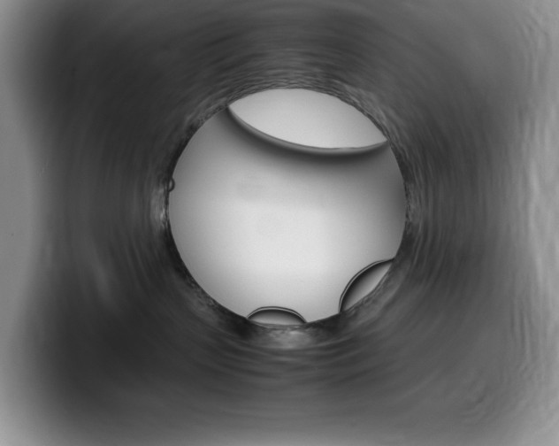 X0000100230383200805300729
