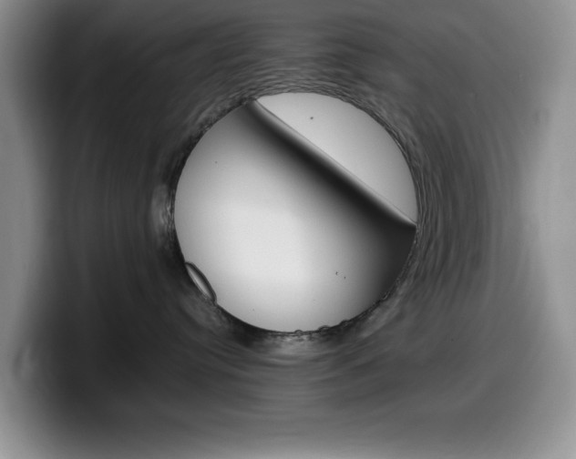 X0000100230384200805300729