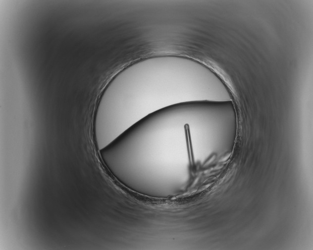 X0000100230385200805300729