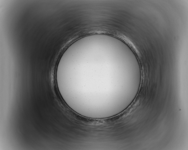 X0000100230386200805300729