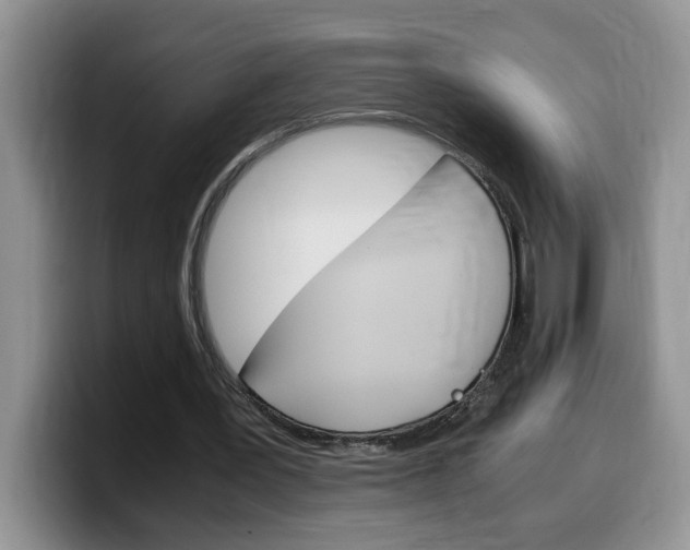 X0000100230387200805300729