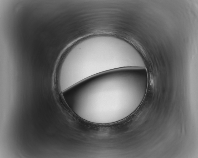 X0000100230388200805300729