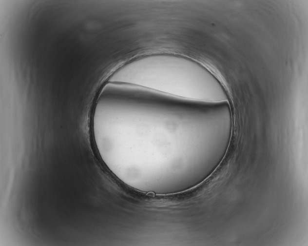 X0000100230389200805300729
