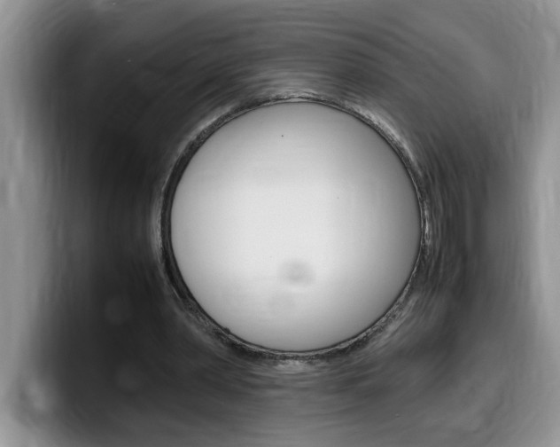 X0000100230390200805300729