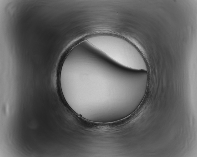 X0000100230391200805300729