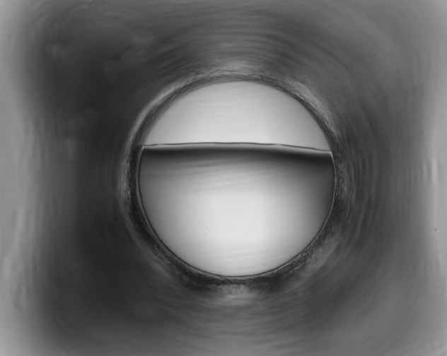 X0000100230392200805300729