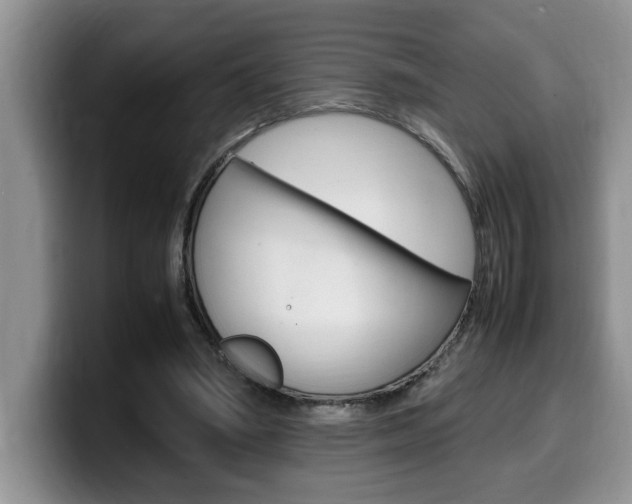X0000100230394200805300729