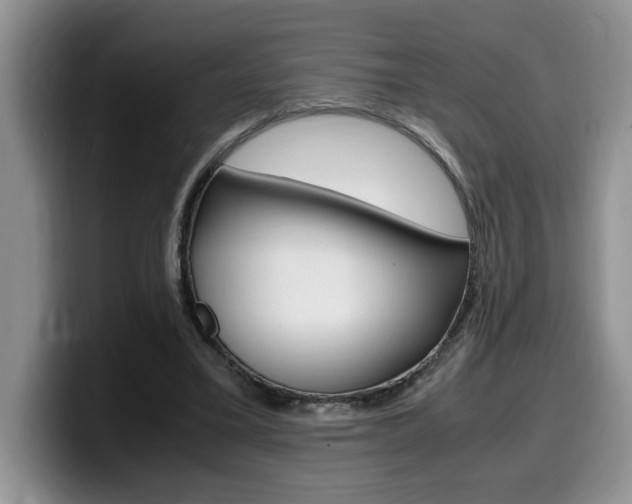X0000100230395200805300729