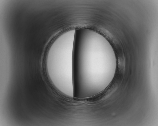 X0000100230396200805300729