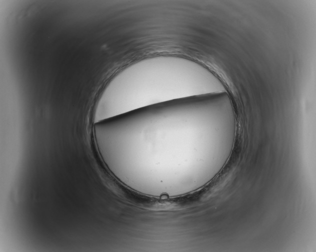 X0000100230397200805300729