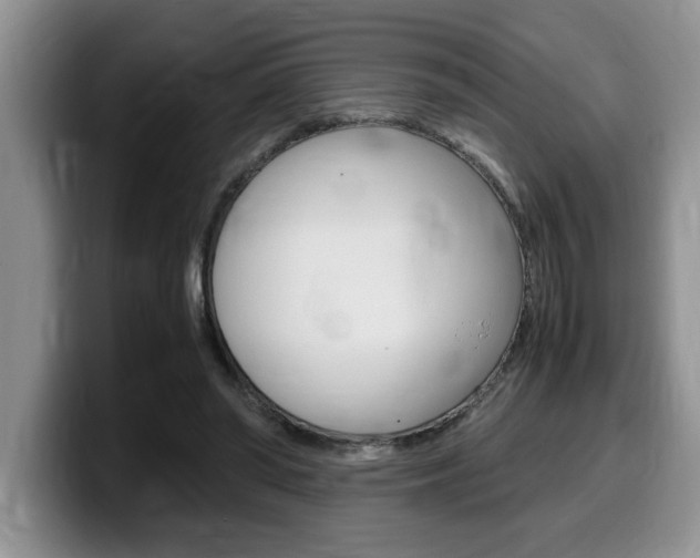 X0000100230398200805300729