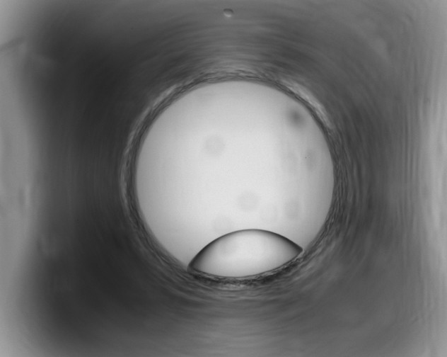 X0000100230399200805300729
