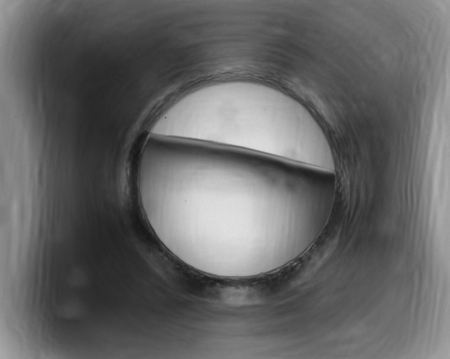 X0000100230400200805300729