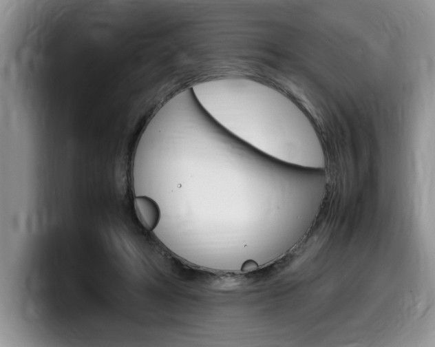 X0000100230402200805300729