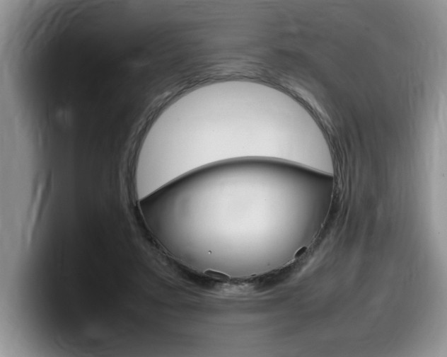 X0000100230403200805300729