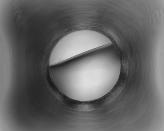 X0000100230404200805300728