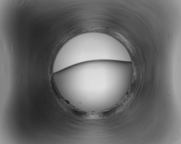 X0000100230405200805300728