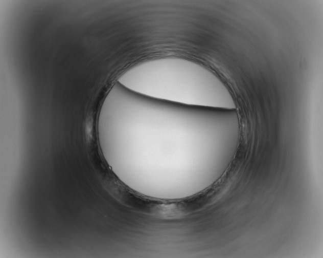 X0000100230406200805300728