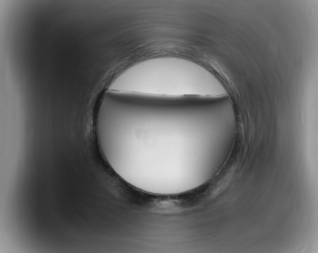 X0000100230407200805300728