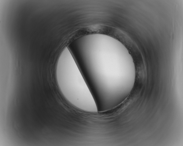 X0000100230408200805300728