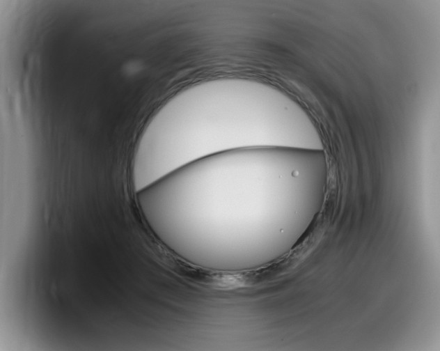 X0000100230409200805300728