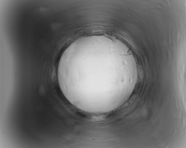 X0000100230411200805300728