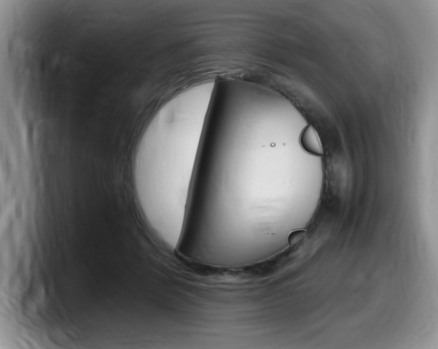 X0000100230412200805300728