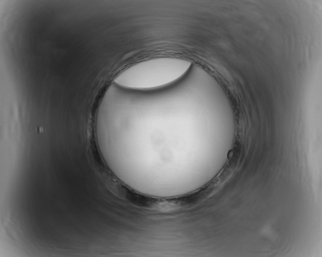 X0000100230413200805300728