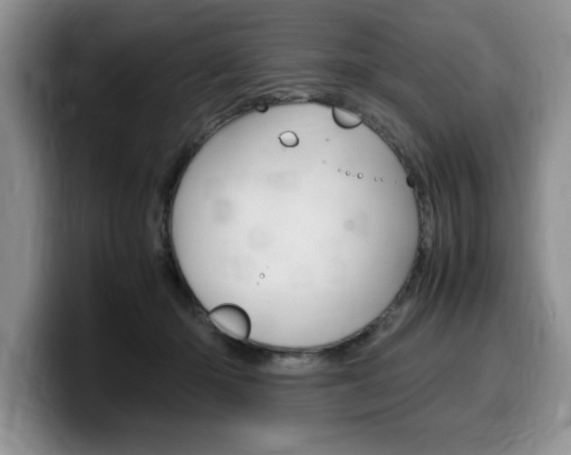 X0000100230414200805300728