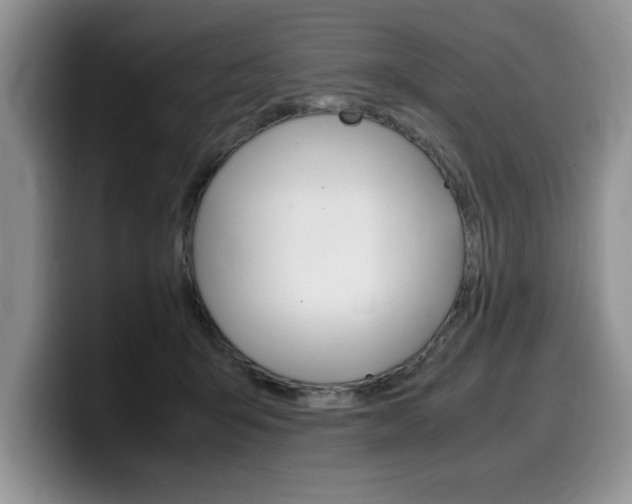 X0000100230415200805300728