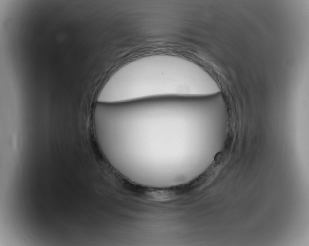 X0000100230417200805300728