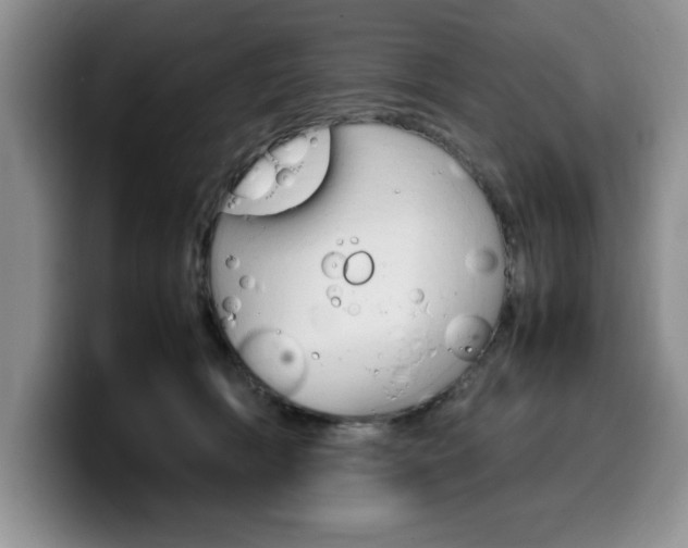 X0000100230418200805300728