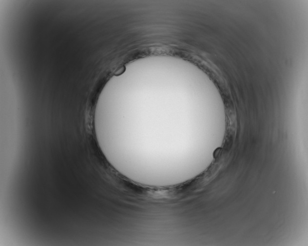 X0000100230419200805300728