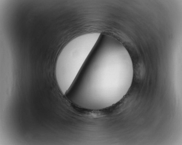 X0000100230420200805300728