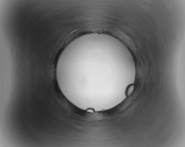 X0000100230421200805300728
