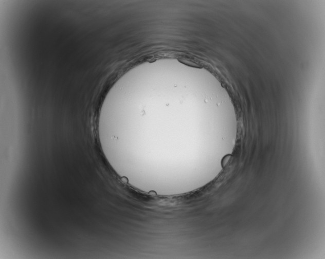 X0000100230423200805300728