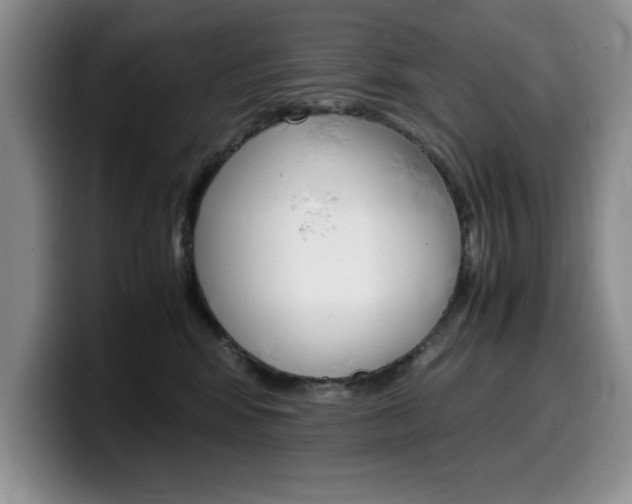 X0000100230424200805300728