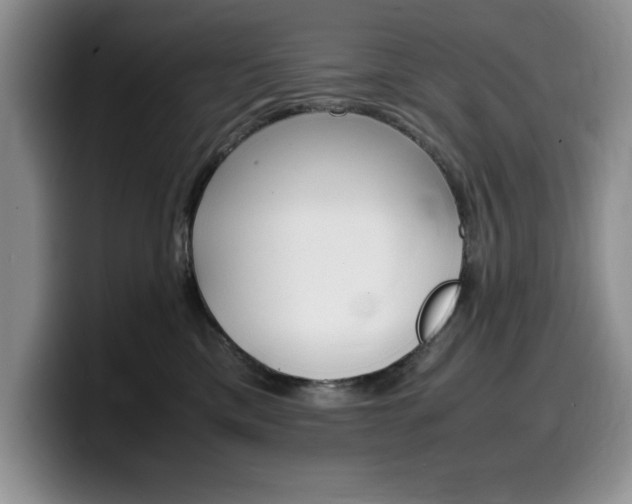 X0000100230425200805300728