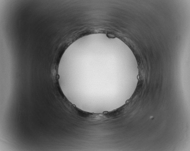 X0000100230427200805300728