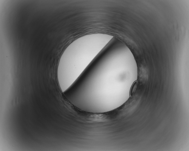 X0000100230428200805300728