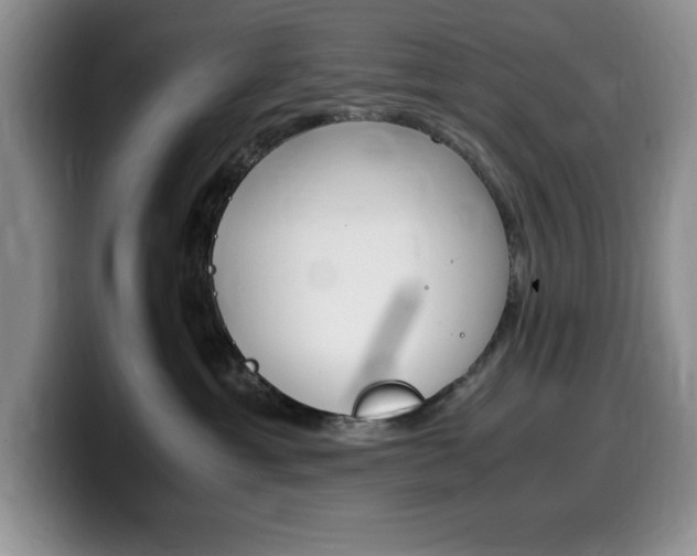 X0000100230429200805300728