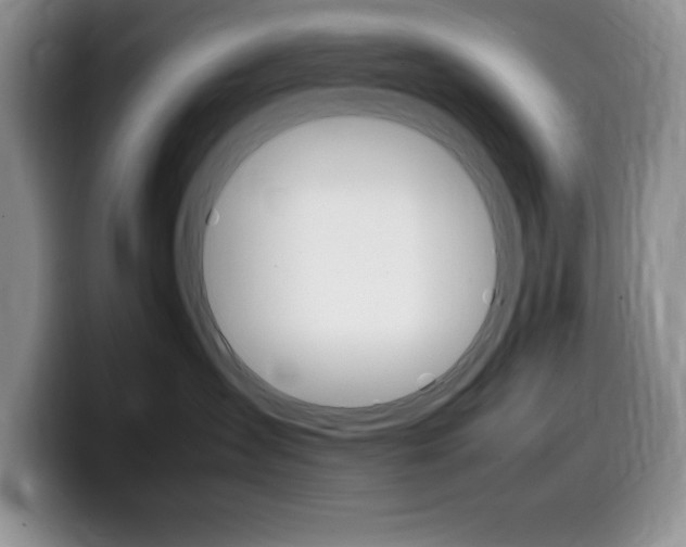 X0000100230431200805300728