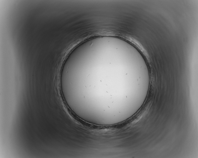 X0000100230433200805300728