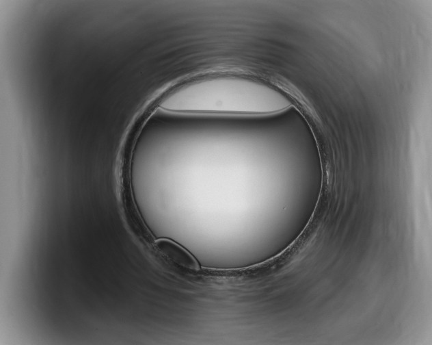 X0000100230436200805300728