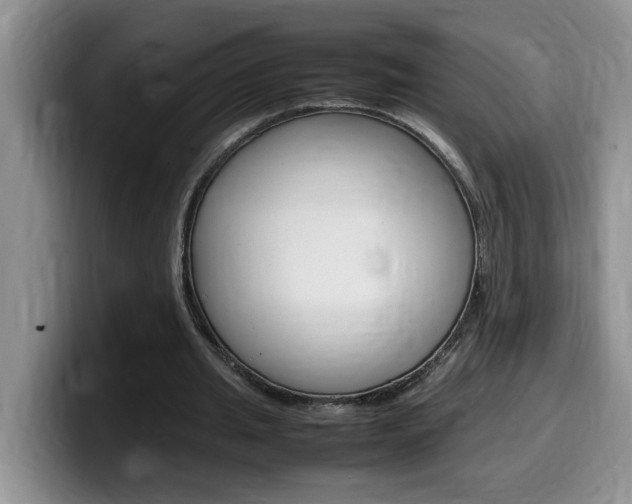 X0000100230437200805300728